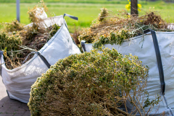 Best Local Junk Hauling  in Phoenix, NY